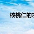核桃仁的功效（核桃仁的功效有哪些）