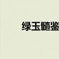 绿玉髓鉴别（绿玉髓如何辨别真假）
