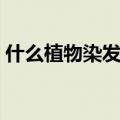 什么植物染发好（自制的植物染发什么最好）