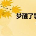 梦醒了歌词（梦醒了歌词是什么）