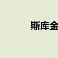 斯库金斯（关于斯库金斯简介）