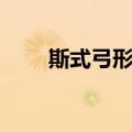 斯式弓形菌（关于斯式弓形菌简介）