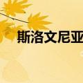 斯洛文尼亚人（关于斯洛文尼亚人简介）