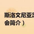 斯洛文尼亚足球协会（关于斯洛文尼亚足球协会简介）