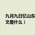 九月九日忆山东兄弟（王维 整首诗的意思是什么 这首诗原文是什么）