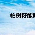 柏树籽能吃吗（柏树籽可以直接吃吗）