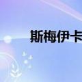 斯梅伊卡尔（关于斯梅伊卡尔简介）