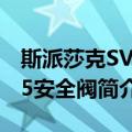 斯派莎克SV615安全阀（关于斯派莎克SV615安全阀简介）