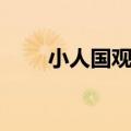 小人国观后感（小人国观后感范文）