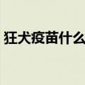 狂犬疫苗什么时候打（狂犬疫苗的注射时间）
