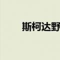斯柯达野帝（关于斯柯达野帝简介）