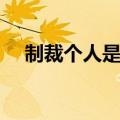 制裁个人是什么意思（制裁个人的意思）