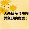 天高任鸟飞海阔凭鱼跃什么意思（怎么理解天高任鸟飞海阔凭鱼跃的意思）