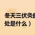 冬天三伏灸的好处与功效有哪些（三伏灸的好处是什么）