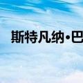 斯特凡纳·巴吉（关于斯特凡纳·巴吉简介）