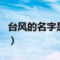 台风的名字是怎么来的（台风名字的命名介绍）
