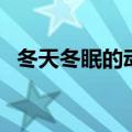 冬天冬眠的动物有哪些（冬眠的动物介绍）