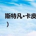 斯特凡·卡皮西奇（关于斯特凡·卡皮西奇简介）