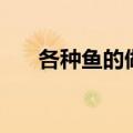 各种鱼的做法大全（鱼怎么做才好吃）