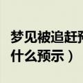 梦见被追赶预示着什么（做梦梦到被人追赶有什么预示）