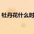 牡丹花什么时候开（牡丹花的开花时间盘点）