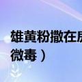 雄黄粉撒在房间有毒吗（常温环境下雄黄粉有微毒）