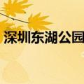 深圳东湖公园在哪里（深圳东湖公园的地址）