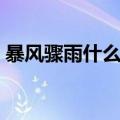 暴风骤雨什么意思（暴风骤雨意思简单介绍）