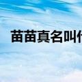 苗苗真名叫什么（芳华的苗苗真名叫什么）