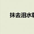 抹去泪水韩宝仪原唱（你都了解了吗）