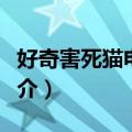 好奇害死猫电影剧情（好奇害死猫电影剧情简介）