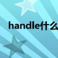 handle什么意思（英语handle什么意思）