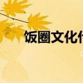 饭圈文化什么意思（饭圈文化的意思）