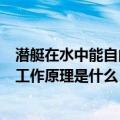 潜艇在水中能自由下潜借鉴了鱼什么器官工作原理（潜艇的工作原理是什么）