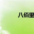 八佰里面的演员表（八佰简介）