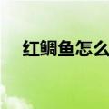 红鲷鱼怎么做来吃（红鲷鱼然后做好吃）