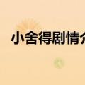 小舍得剧情介绍大结局（小舍得的大结局）