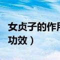 女贞子的作用与功效（下面是女贞子的作用与功效）