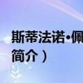 斯蒂法诺·佩蒂纳里（关于斯蒂法诺·佩蒂纳里简介）