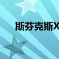 斯芬克斯X谜（关于斯芬克斯X谜简介）