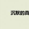 沉默的真相原著结局（结局是什么）