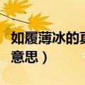 如履薄冰的真正意思是什么（如履薄冰的真正意思）