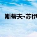 斯蒂夫·苏伊萨（关于斯蒂夫·苏伊萨简介）