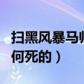 扫黑风暴马帅是怎么死的（扫黑风暴马帅是如何死的）