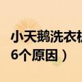 小天鹅洗衣机不脱水是什么原因（主要有如下6个原因）