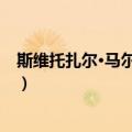 斯维托扎尔·马尔科维奇（关于斯维托扎尔·马尔科维奇简介）