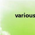 various怎么读（various的意思）