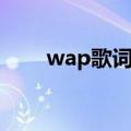 wap歌词中文大意（wap歌词释义）