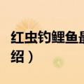 红虫钓鲤鱼最佳方法（红虫钓鲤鱼最佳方法介绍）
