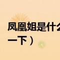凤凰姐是什么电视剧（港片里的麻将比赛了解一下）